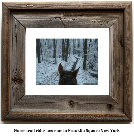 horse trail rides near me in Franklin Square, New York